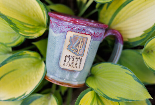 sunset-hill-stoneware-custom-logo-mugs-for-state-parks-005