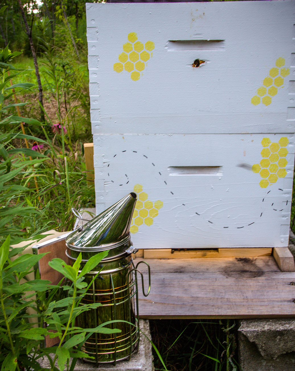 Bee smoker and beehive